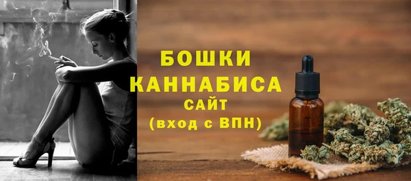 индика Заводоуковск
