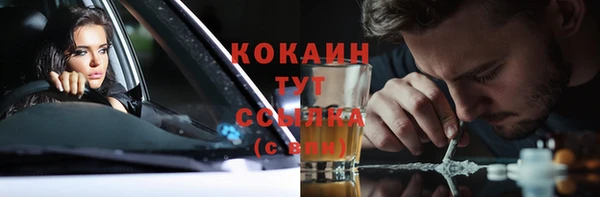 mdpv Ельня