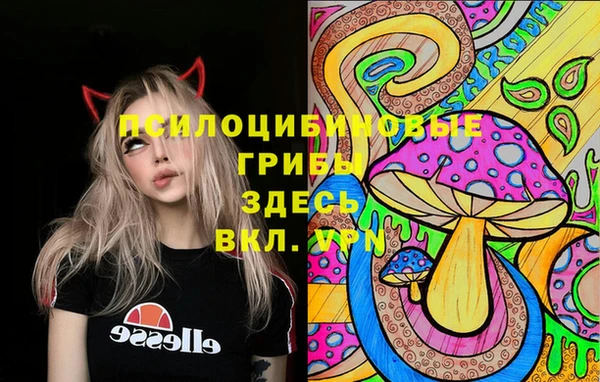 mdpv Ельня