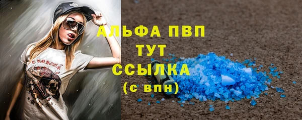 индика Заводоуковск