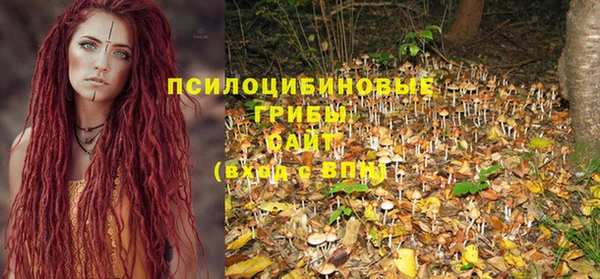 индика Заводоуковск