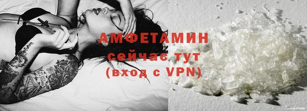 шишки Заволжье