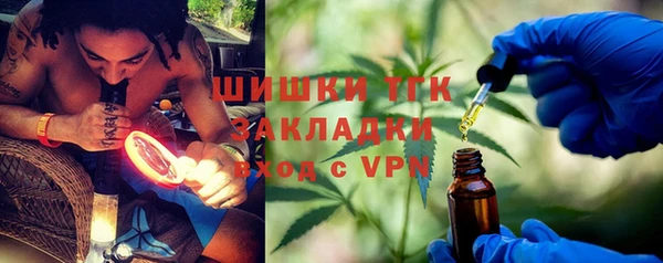 шишки Заволжье