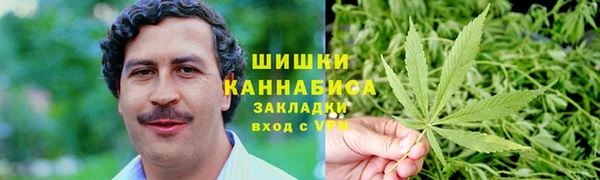 шишки Заволжье