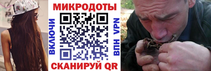 Галлюциногенные грибы Cubensis  кракен сайт  Полесск 